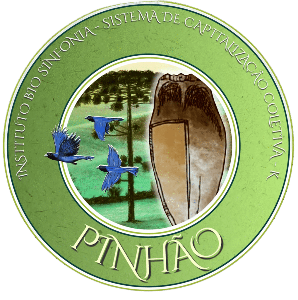 Moeda Pinhão