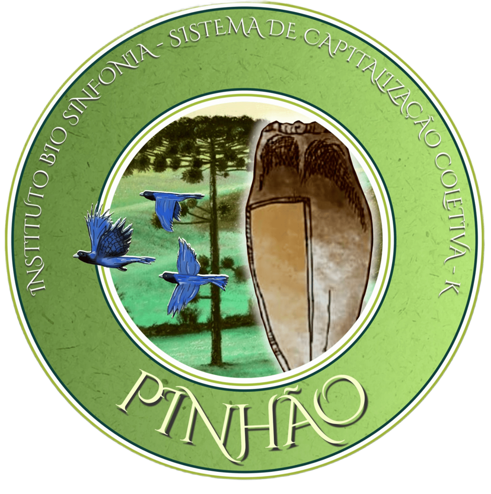 Moeda Pinhão